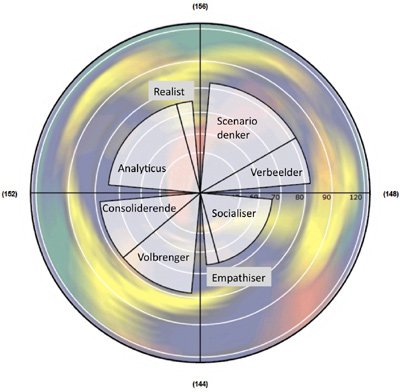 Voorbeeld Breinprofiel